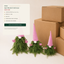 EYB22637 B2B custom project and packaging support
