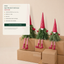 EYB22650 B2B custom project and packaging support