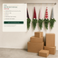 EYB22695 B2B custom project and packaging support