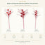 J6054P10-A-B-C white background product series