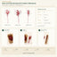 J6054P10-A-B-C B2B packaging overview