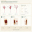 J6054P12-A-B-C B2B packaging overview
