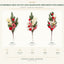 J6065P white background product series