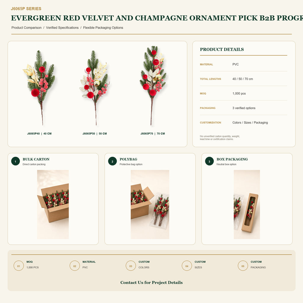 J6065P B2B packaging overview