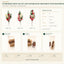 J6065P B2B packaging overview