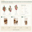 J6066P B2B packaging overview