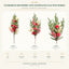 J6067P white background product series