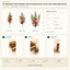 J6067P B2B packaging overview