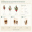 J6068P B2B packaging overview