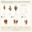 J6069P B2B packaging overview