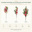 J6072P white background product series