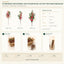 J6072P B2B packaging overview