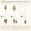 J6074P B2B packaging overview