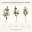 J6075PA40-A50-A70 white background product series