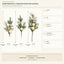 J6075PA40-A50-A70 total length and specifications