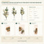 J6075PA40-A50-A70 B2B packaging overview