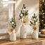 J6076P vase lifestyle scene