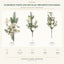 J6076PA white background product series
