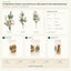 J6076PA B2B packaging overview
