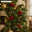 J6078A Christmas tree application