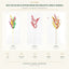 J6081P-1-2 white background product series
