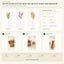 J6081P-1-2 B2B packaging overview