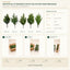 J6083P40 B2B packaging overview
