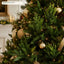 J6083P40 Christmas tree application