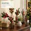 Mini Christmas Botanical Pick Collection – 20–33 cm