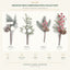 J6093P-A white background product series