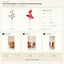 J6102P20 B2B packaging overview
