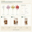 J6104P30 B2B packaging overview