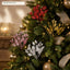 J6104P30 Christmas tree application