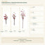 J6109P-1A total length and specifications