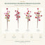 J6109P35 white background product series