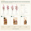 J6109P35 B2B packaging overview