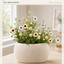 J6112P30-3A Easter B2B product image 05