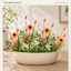 J6112P30-6B Easter B2B product image 05