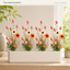J6112P50-6B Easter B2B product image 05