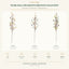 J6121P75-1-2-3 white background product series
