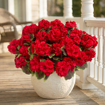 12 Pcs Artificial Geranium Plant Realistic Silk Flowers for Outside UV Resistant Faux Geraniums Flowers for Indoor Outdoor Home Garden Office Decoration